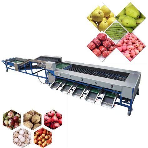 fruit sorting machine|fruit sorting system.